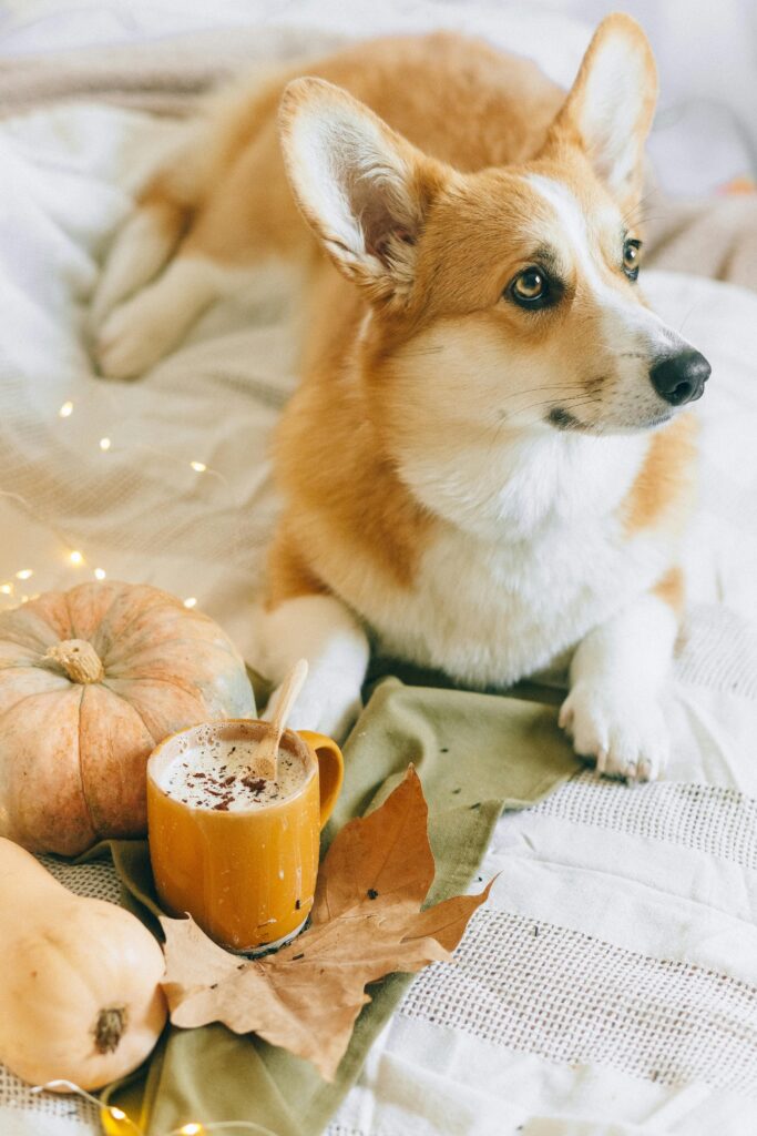 Pumpkin Spice Latte