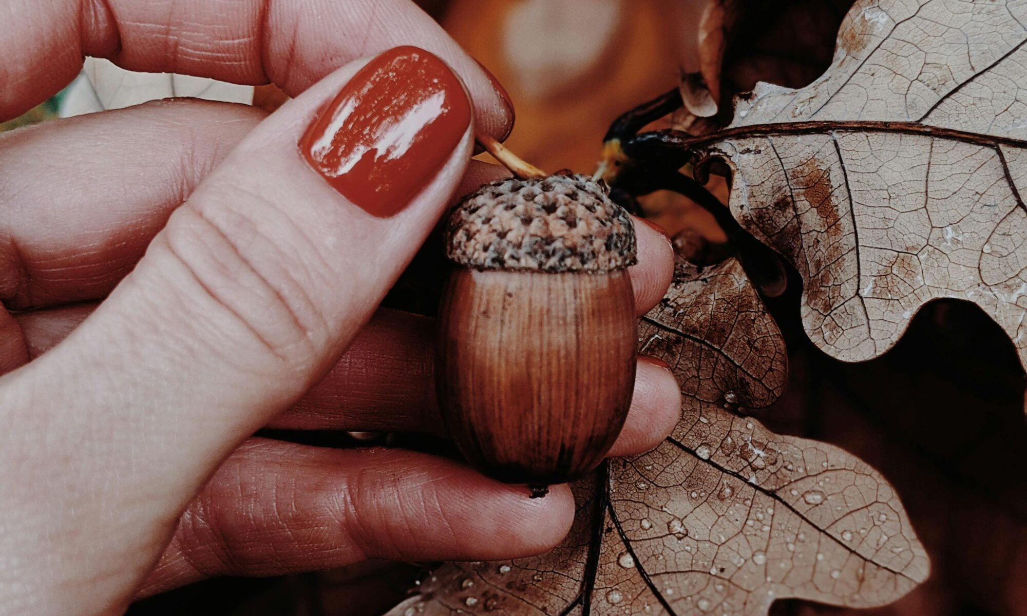 Nagellack-Trends