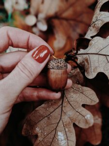 Nagellack-Trends